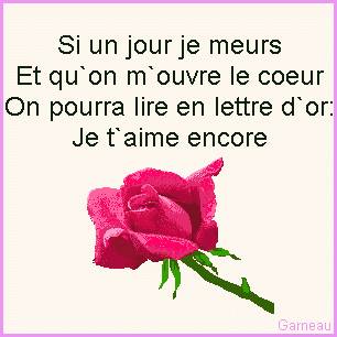 trop beaux